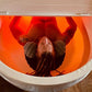 Dreampod Home Pro Portable Sensory Deprivation Float Therapy-For Sale-near me